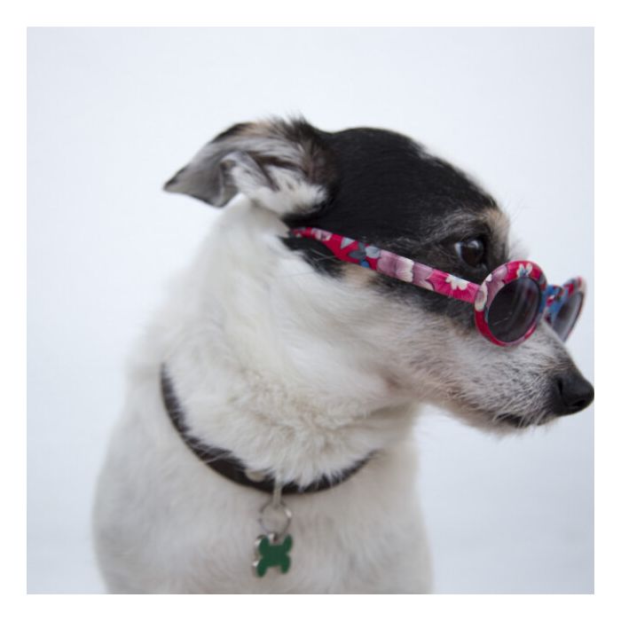 terceiro oculos