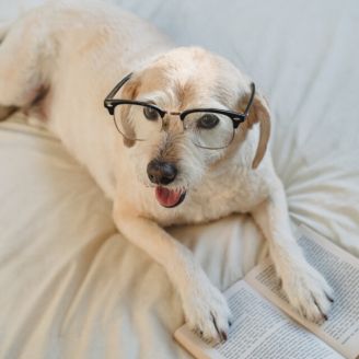 quarto oculos estoque integrado ao magento