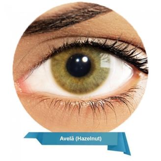 Solotica Hidrocor Toric Avela for Astigmatism